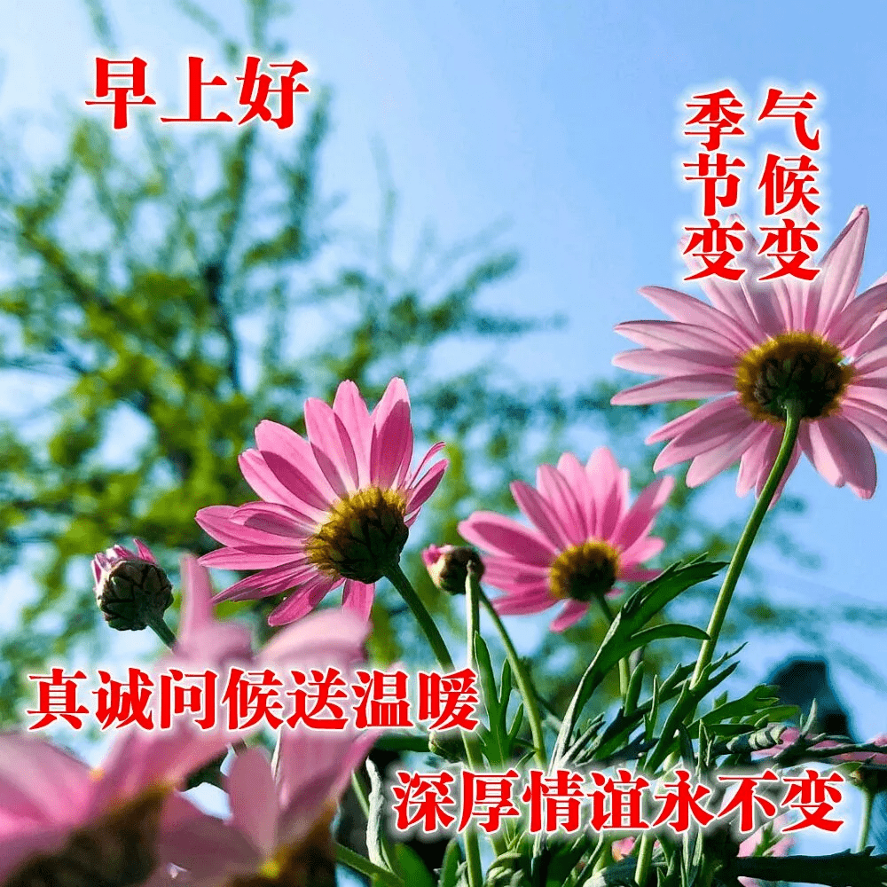 冬天早上好天冷了暖暖的祝福深深的问候早安图片唯美句子