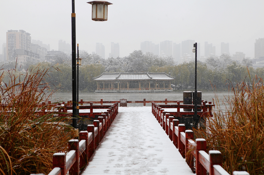 一场大雪,西安就变成了长安 也让曲江池褪去"浓妆艳抹"的色彩 一场雪