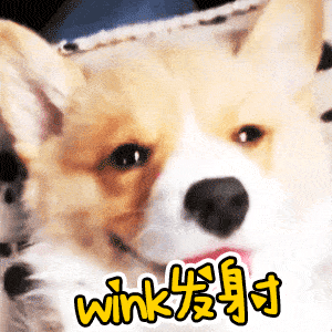 萌宠们它充斥了我们的生活and朋友圈