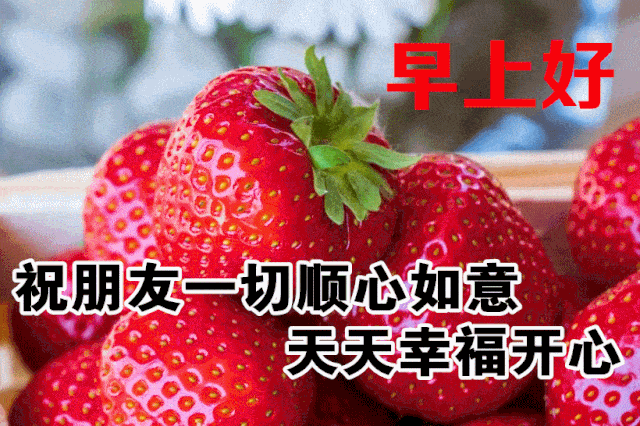 11月24日最漂亮早上好动态表情图片大全早晨好动图美图大全