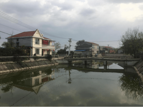 蒲团乡大庙村廖家墩湾通村公路两侧杂草杂树已清除,居民门前屋后较
