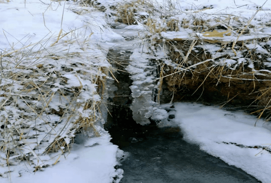 和田的初雪!