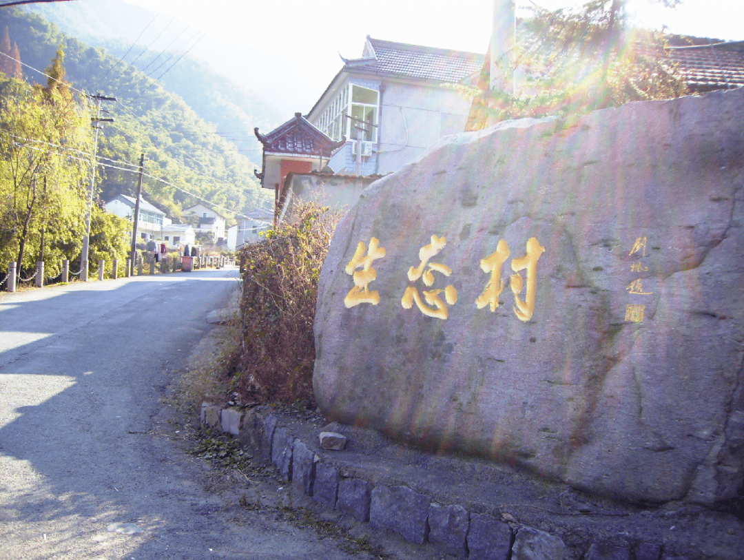 仙岩村的答卷来了!