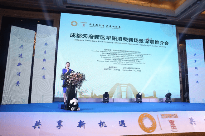 华阳街道经济总量_华阳街道装梯地图