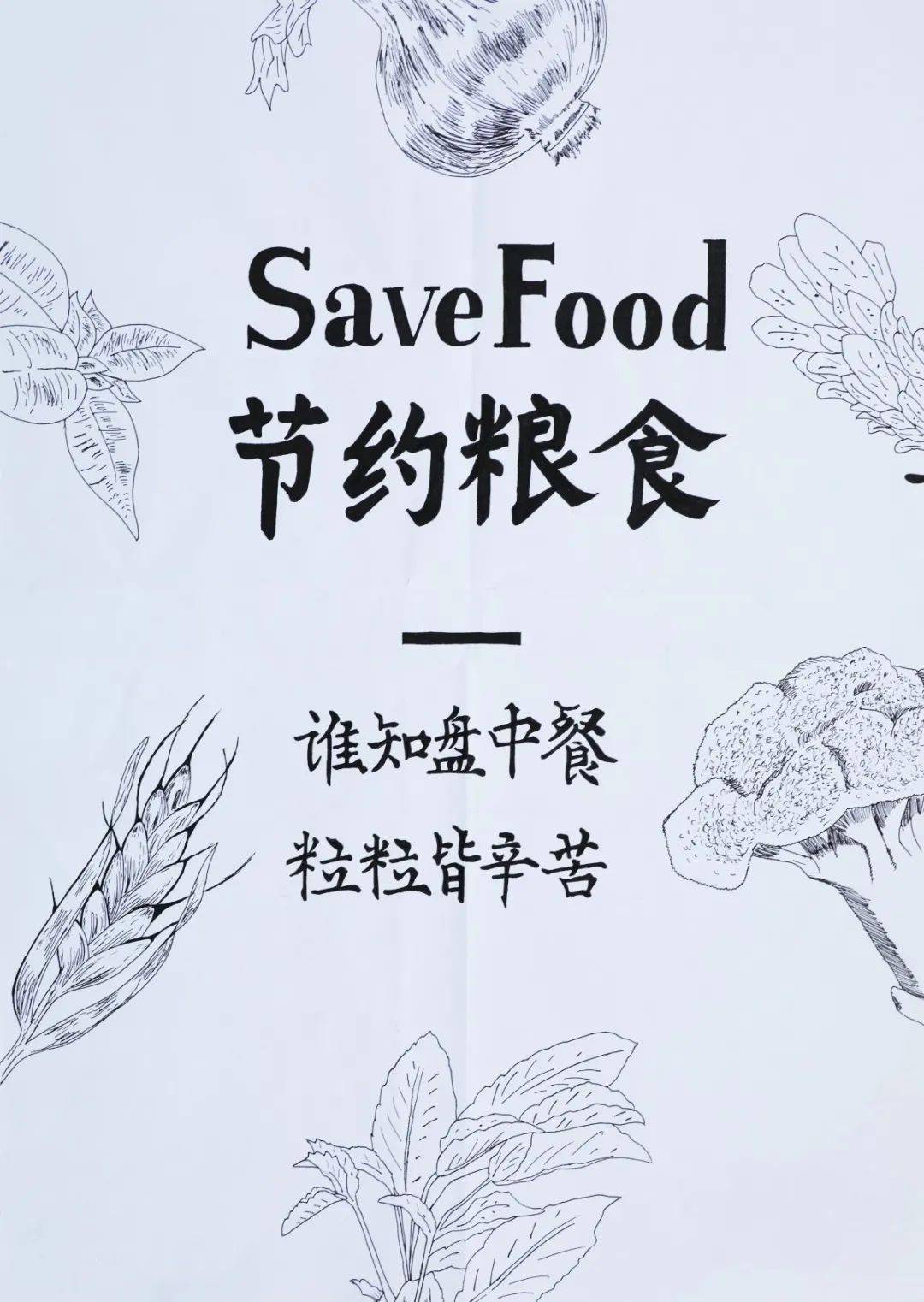 — 优秀作品奖—  《拒绝浪费 厉行节约》 《节约粮食》 《节俭为德》