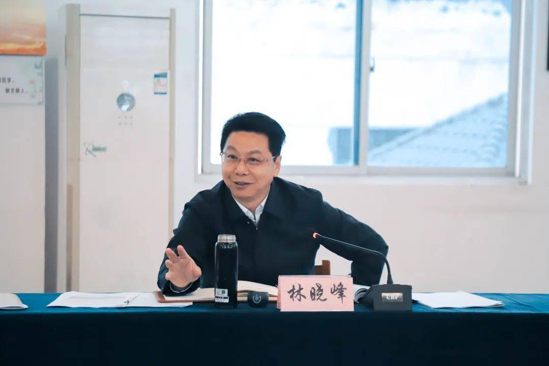 市委常委,组织部部长林晓峰来龙督导调研