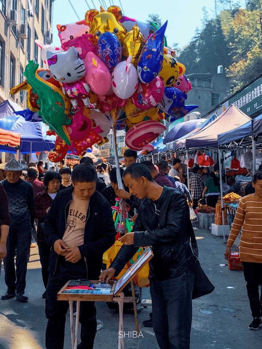 泰顺各乡镇赶集大盘点!_集市