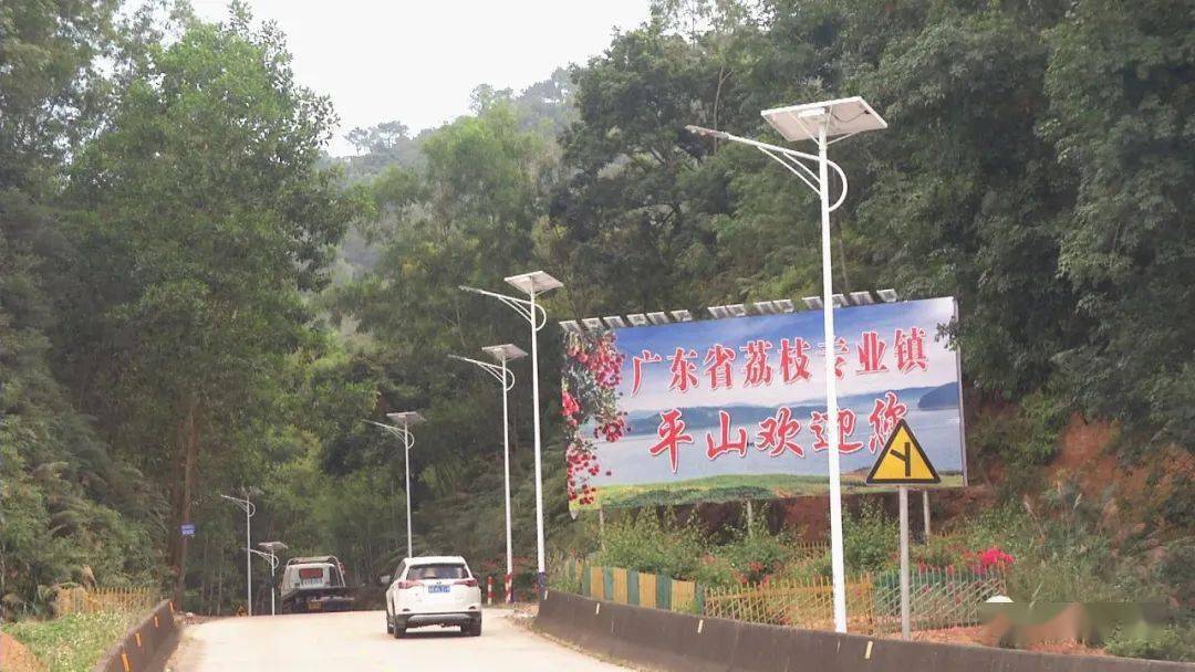 亮了!高州平山镇境内14公里省道装上了路灯