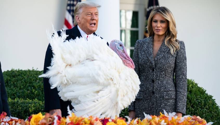 感恩节特赦火鸡后，特朗普被问到会不会“放过