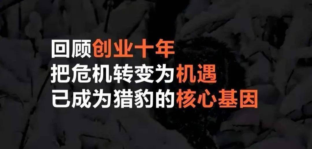 悬崖边的猎豹把危机转变为机遇已刻在基因里