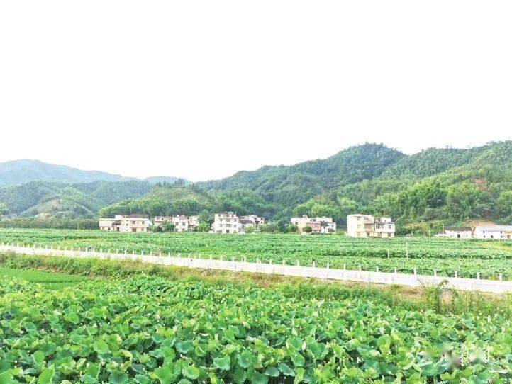 崇义杰坝人口_崇义杰坝乡风景