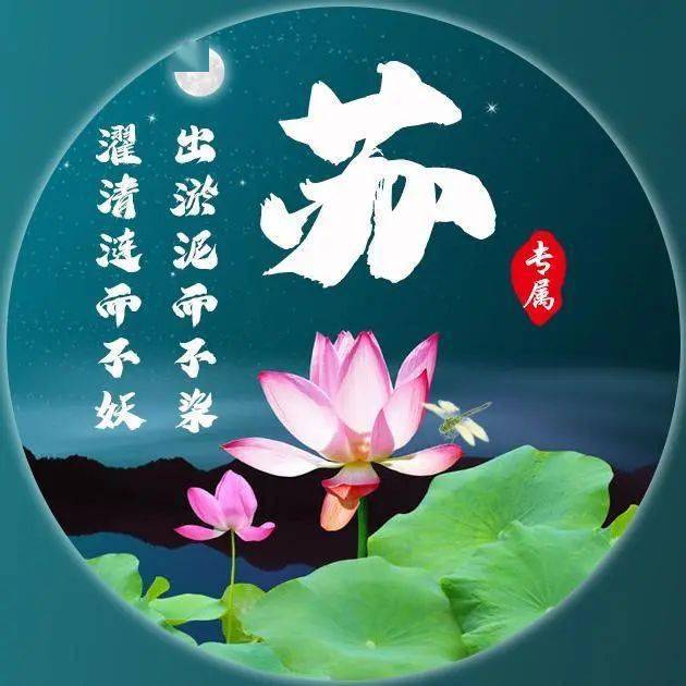 30张百家姓荷花图,可换成微信头像!
