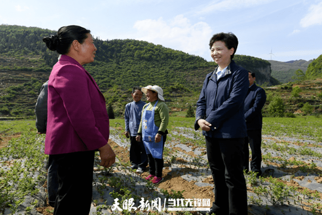 纳雍县城有多少人口