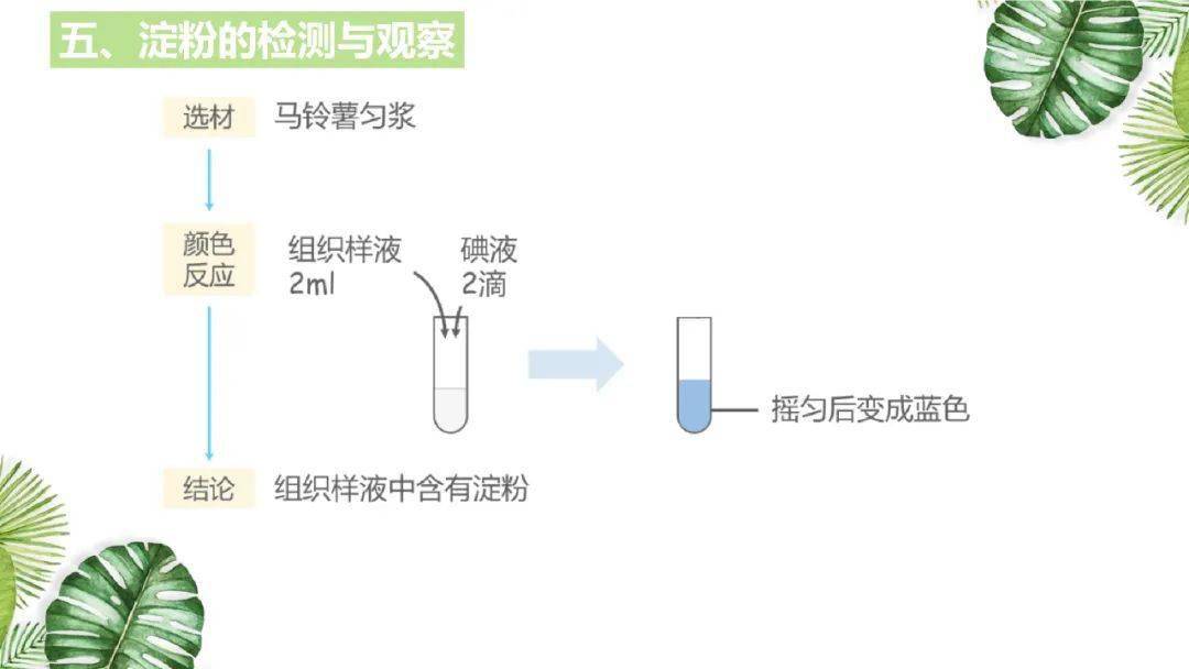 高考|考生必看！附电子版~2021高考一轮| 细胞机器分子组成专题及近三年高考真题压轴练