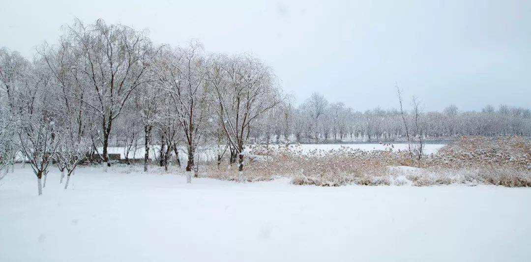 龙湖冬雪丨于海秋 摄
