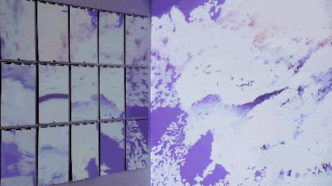 92b6b50f2f1e4fd0a702e40c59dc082a.gif