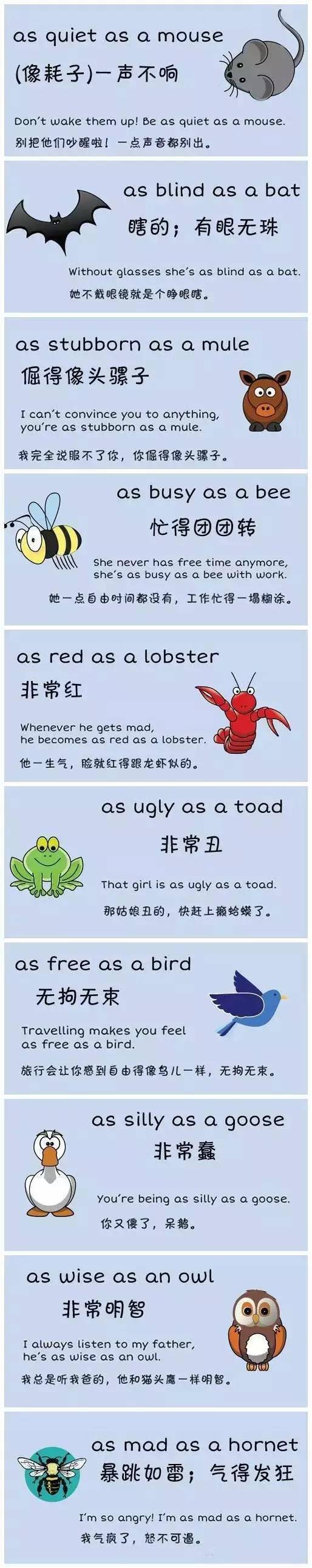 萌萌的英语怎么写