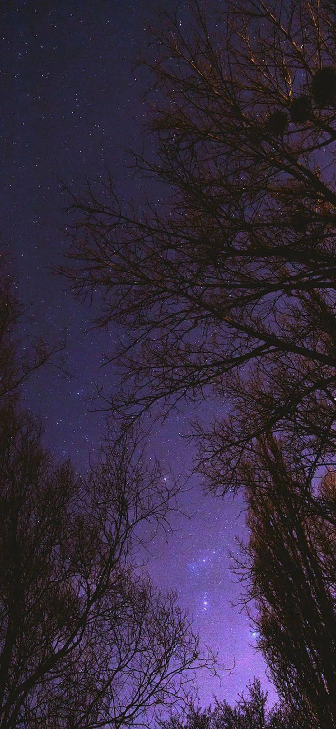 【壁纸】所念皆星河,所系皆山海.星河是你,山海也是你