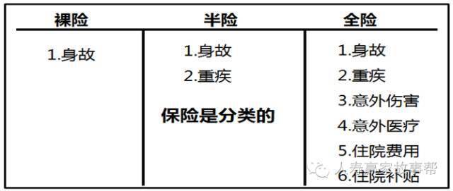 投保容易理赔难——全险半险裸险t形图