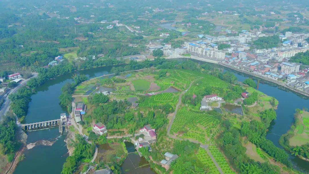 王村镇人口_合阳县王村镇鲁建春(2)