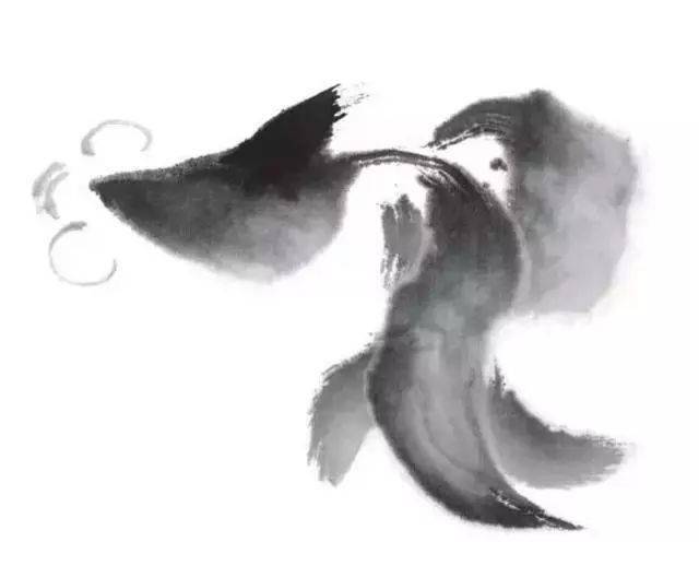 调淡墨,中锋用笔勾画金鱼的泡眼和鱼嘴部分,然后调重墨一笔扫出金鱼的