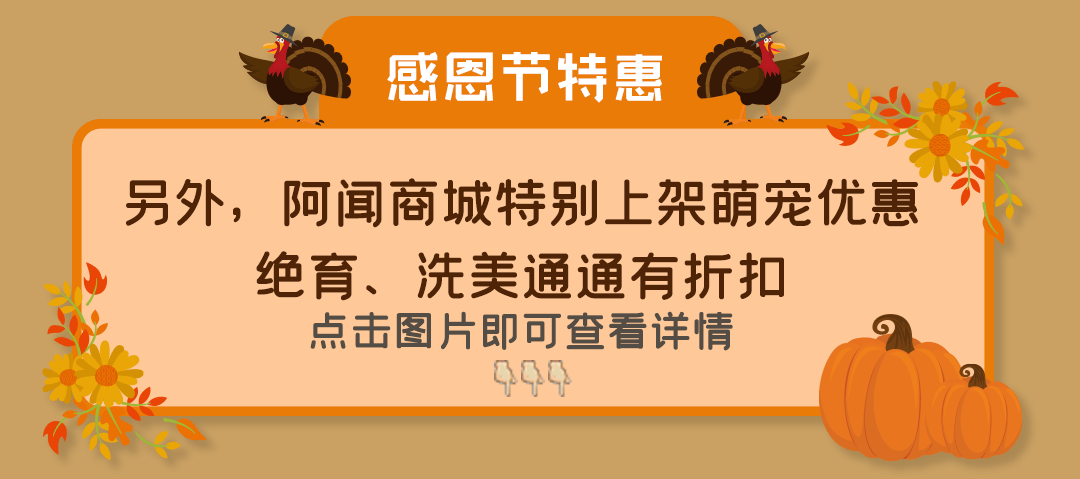 af520653554748abaf1fba7e5cb397d3.png