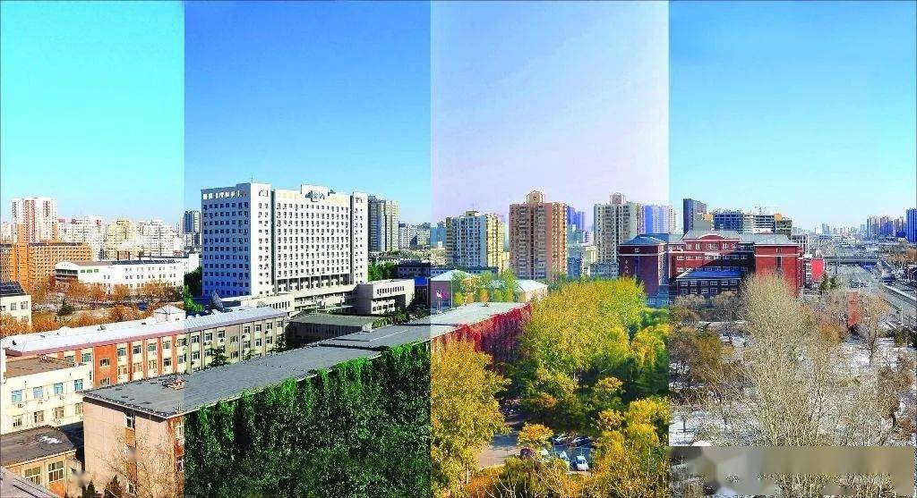 专业|世界联通：对外经济贸易大学经贸先锋