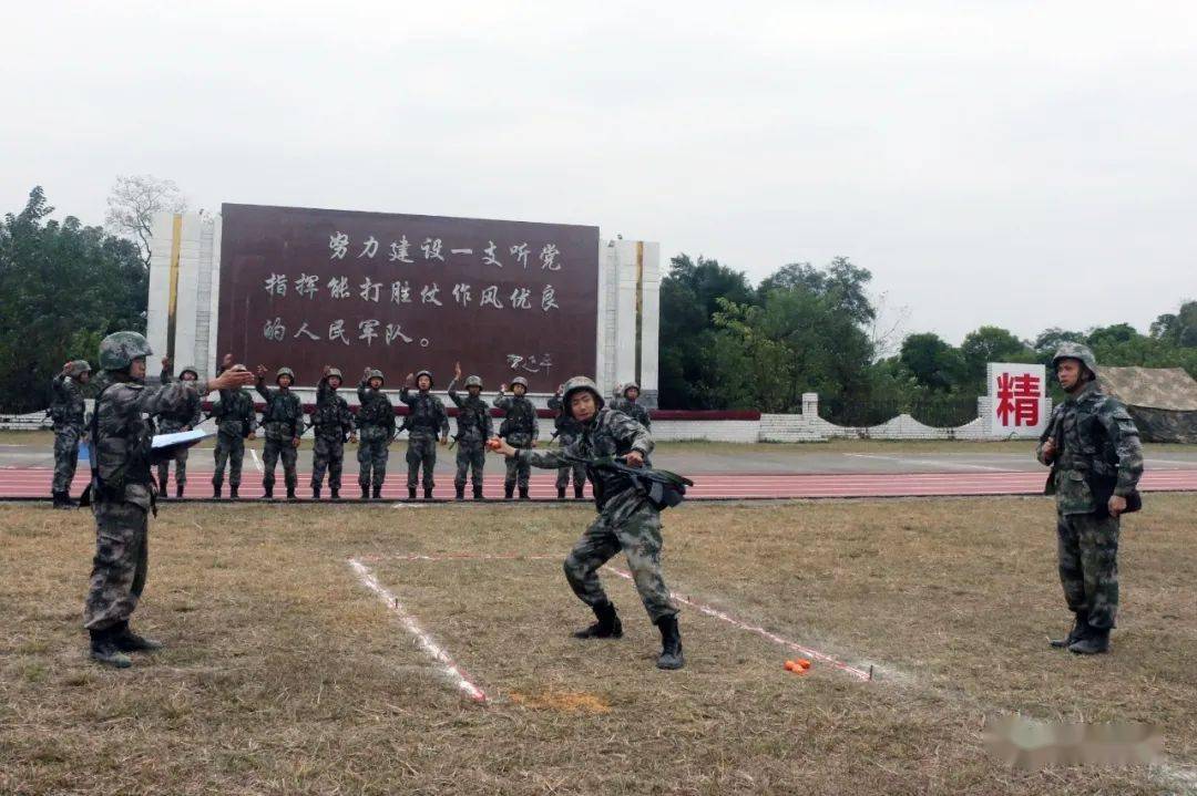 学习五中全会精神