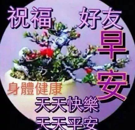 中老年表情包心静了随时都有好心情