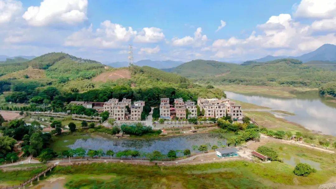 珠三角乡镇gdp_珠三角地图(3)