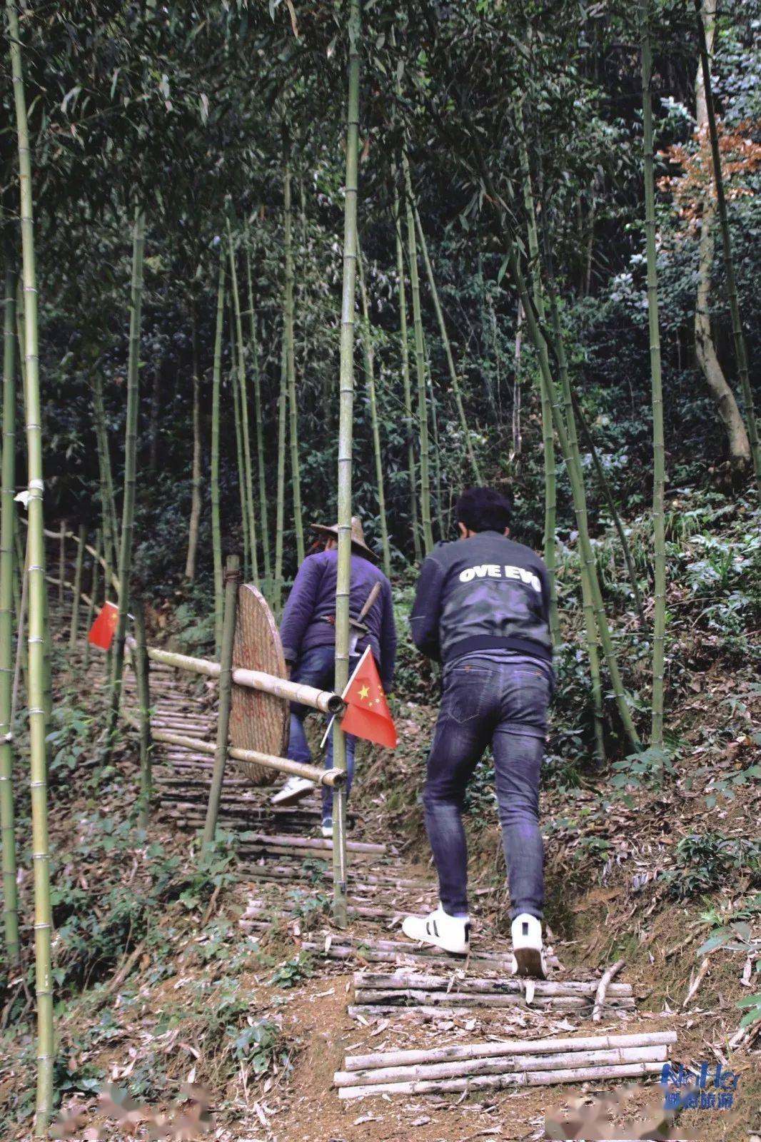 从竹梯顺下的梦境，探索内心与生活的和谐之旅