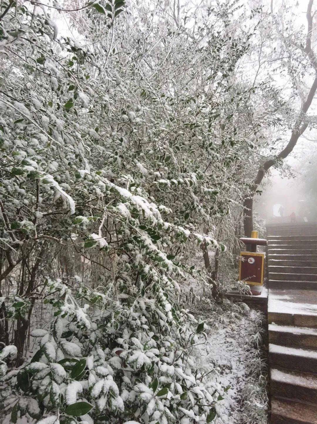 花果山下雪啦!