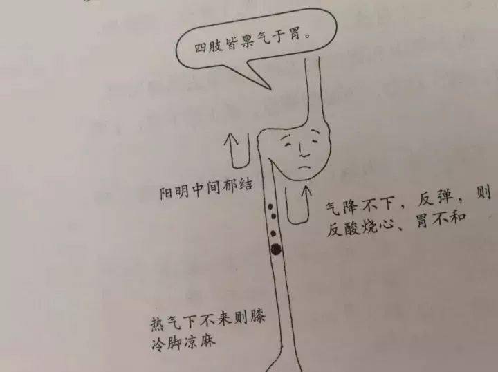 b7681bcae81a488db13425ff02abda6f.jpeg