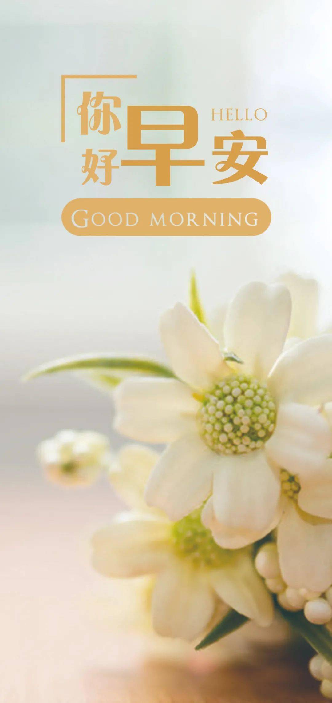 朋友圈早安最新出的正能量说说句子 清晨最好看的早安