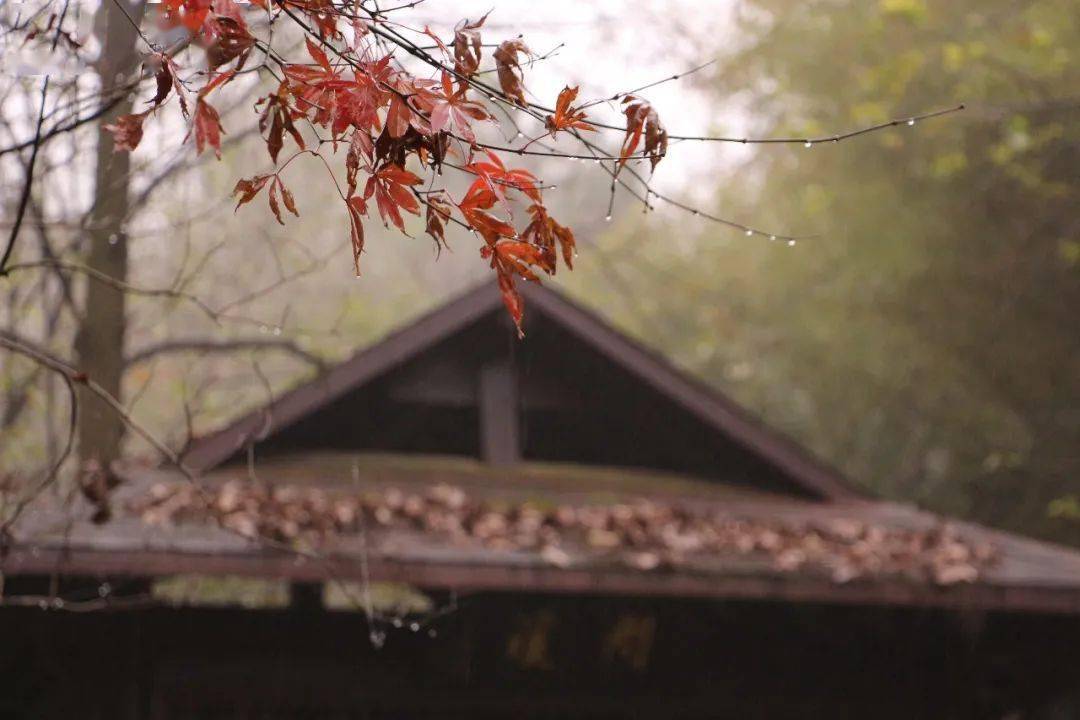 绵绵细雨,烟雨永泉