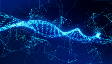科学种子科技英语 用生化方法创造一个随机数 as
