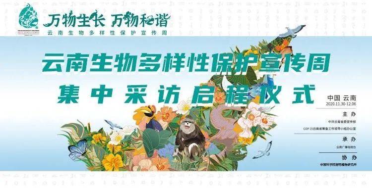 万物和谐—云南生物多样性保护宣传周"集中采访启程仪式海报 李悦春