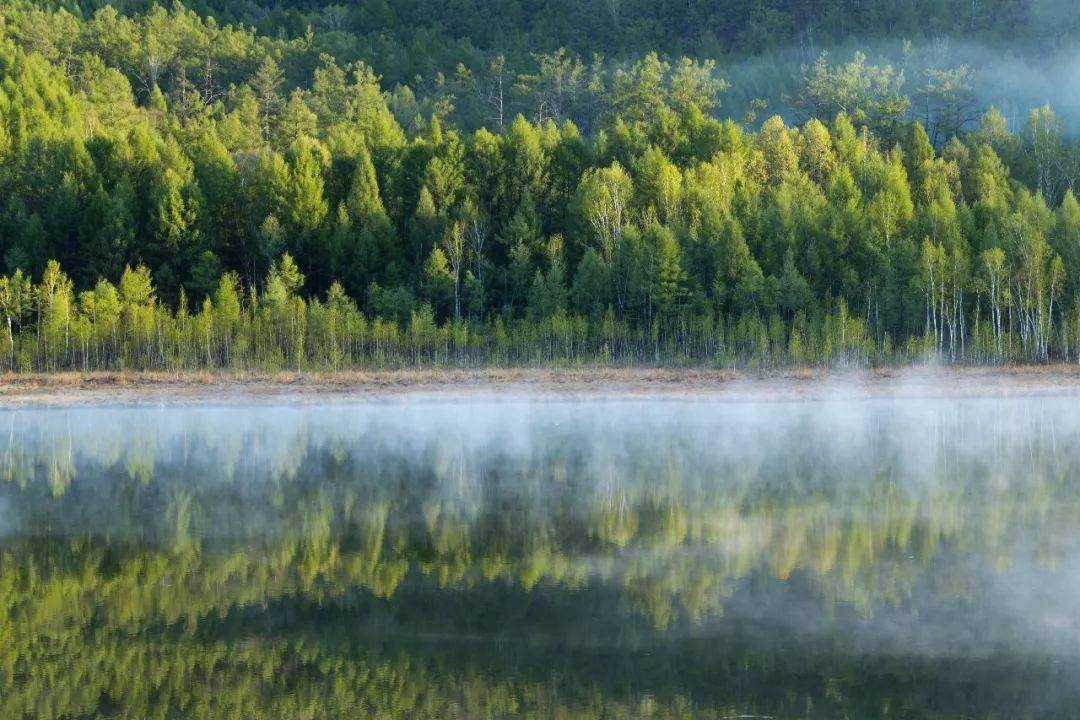 大兴安岭,往后余生,你就是我眼中最美的风景