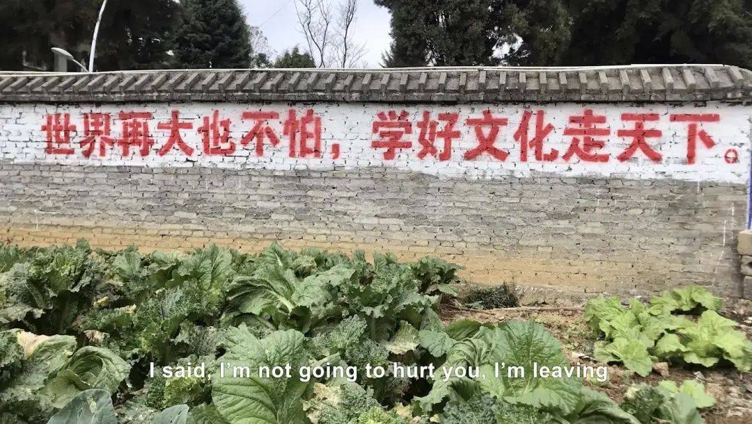 争议爆棚,近期口碑第一的国产片,竟如此猎奇