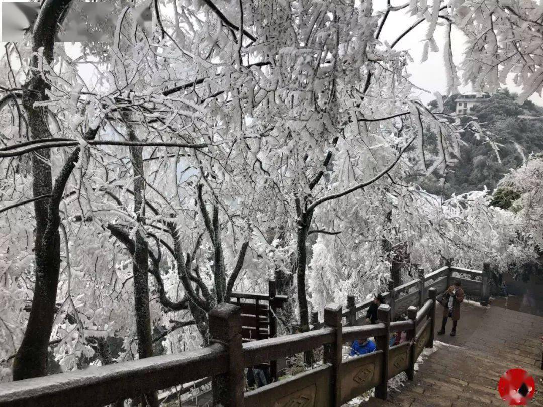 如果气温骤减,源江摩天岭上庞大的风车阵与摩天岭冰雪交相辉映,会呈现