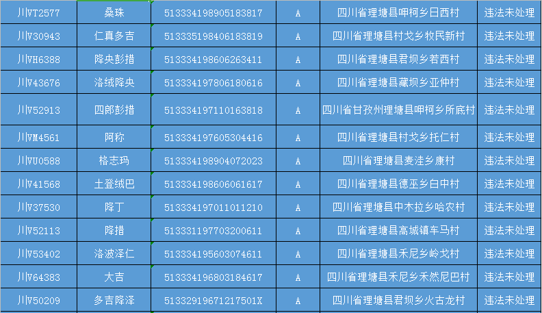 派出所重点人口统计年报表_统计报表