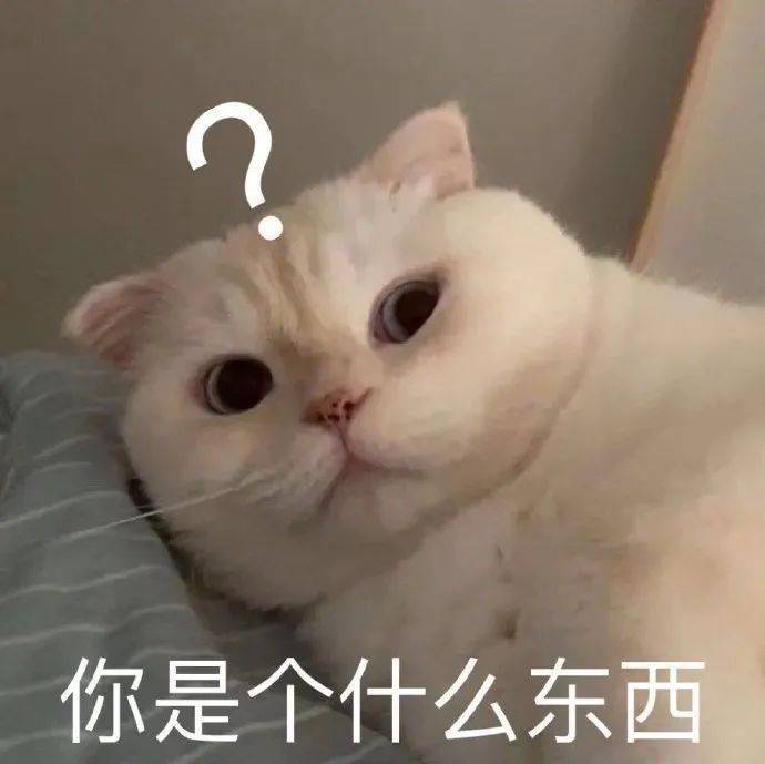 表情包|我以为足够真诚 就会被对得起