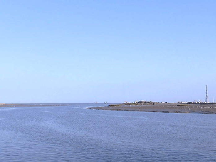 咱们河北省的黄骅市位于渤海沿岸,拥有长达55千米的海岸线,渔业资源