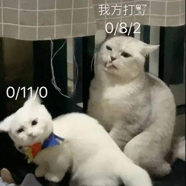 【沙雕猫表情包】猫猫王者荣耀表情包