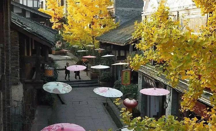 重庆这座千年古城的初冬 诗意满满！