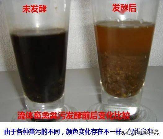 adbc2e884cac4ef2ab347918aa903bee.jpeg