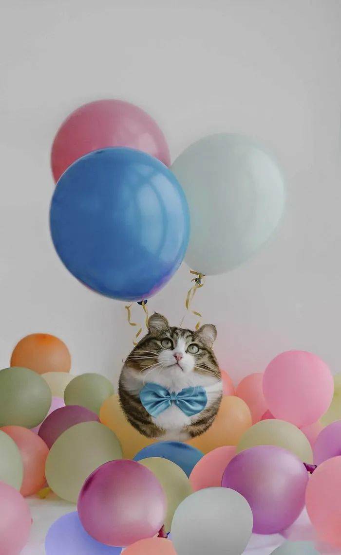 
如果这个星球上的所有动物都是胖胖的 他们会是什么样子？“bsports必一体育”(图3)