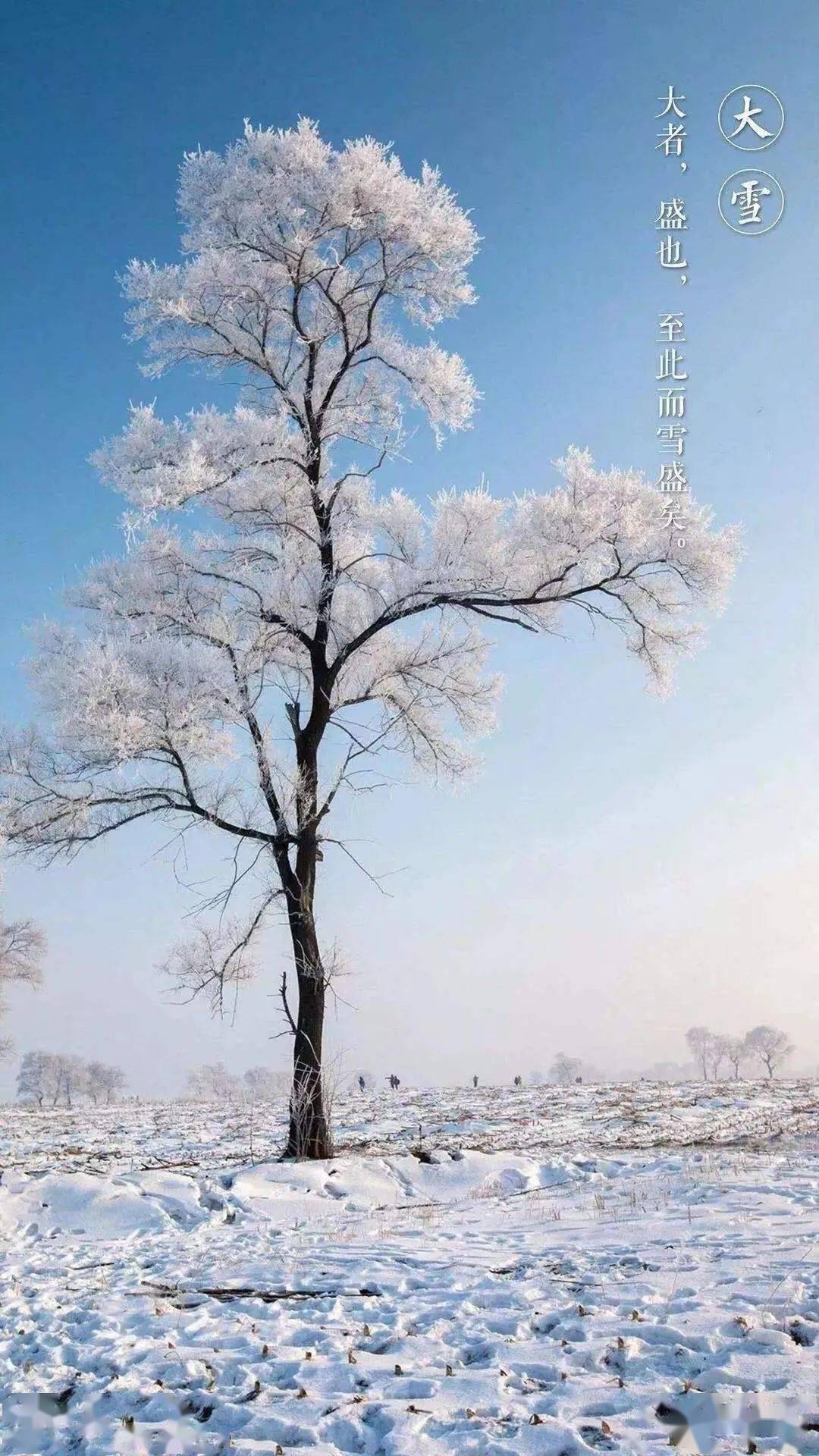 《对雪》