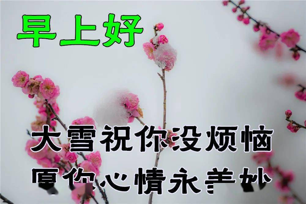 e650d135f61b43d6ac5192411a040aa9.jpeg