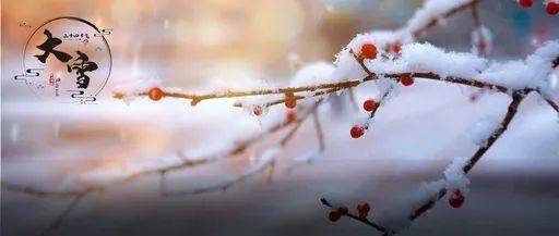 大雪!一首《飘雪》,祝大家大雪安康